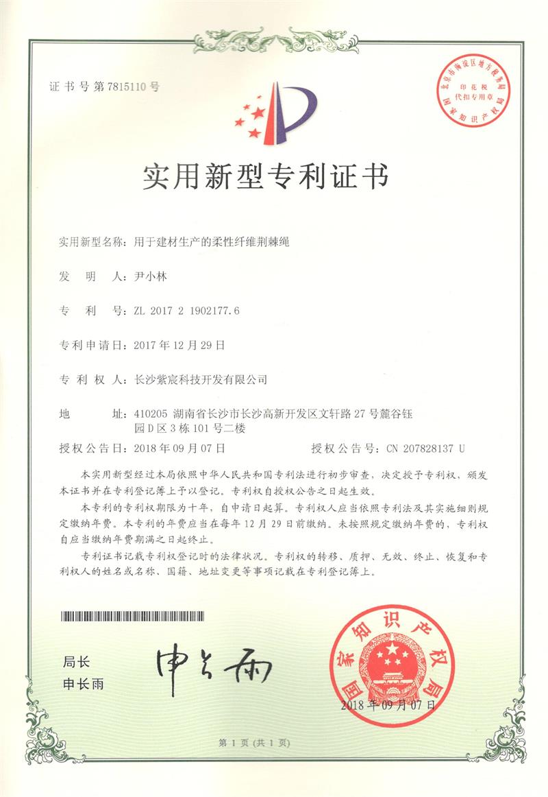 1.6-ZL201721902177.6-用(yòng)于建材生(shēng)産的(de)柔性纖維荊棘繩(1)